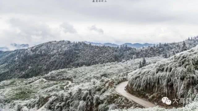 宜宾这些地方下雪了,有筠连大雪山,约吗?