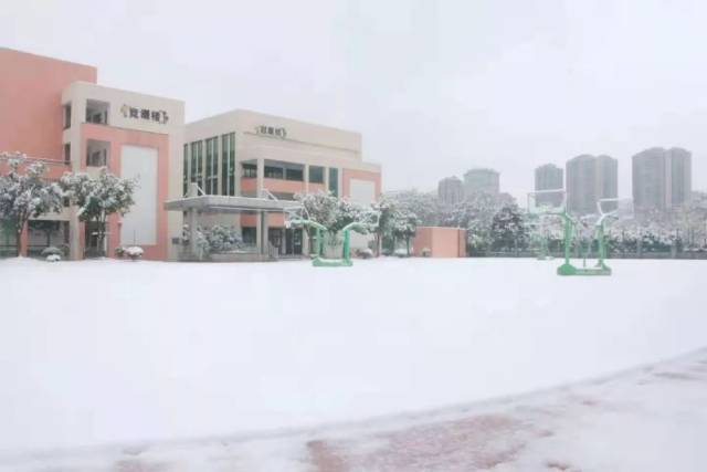 萧山硬核大雪终于下了!