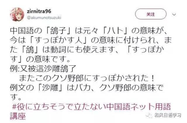 真香舔狗等网络流行语火爆日推!这波文化输