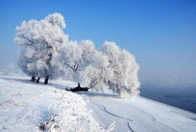 北方人下雪天是怎么度过的?网友:滑倒是对下雪天最起码的尊重_手机搜