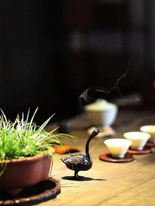 茶文化|我们喝茶时,不仅仅是在喝一杯茶