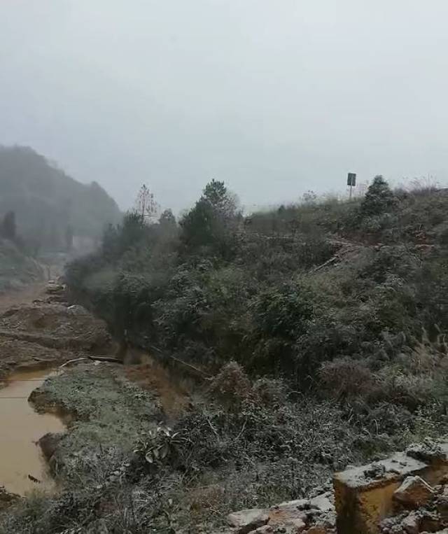 都匀杨柳街降雪.网友@点滴感动缘于生活 拍摄