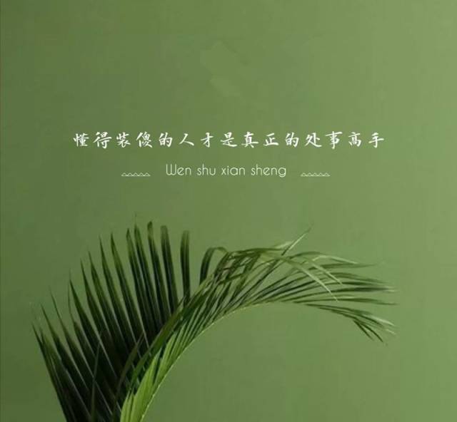 做人的最高境界—装傻