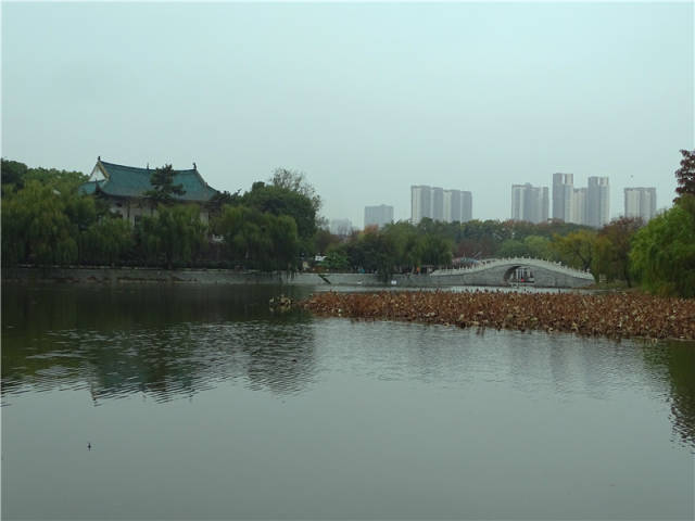 在武汉市区中心汉阳,有一个湖泊叫月湖,围绕月湖建设了月湖风景区.