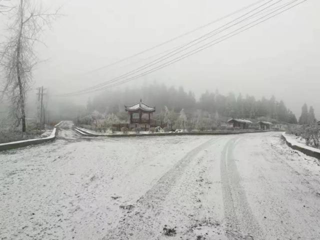 5.5℃!电线积冰2毫米!本周一周天气是…