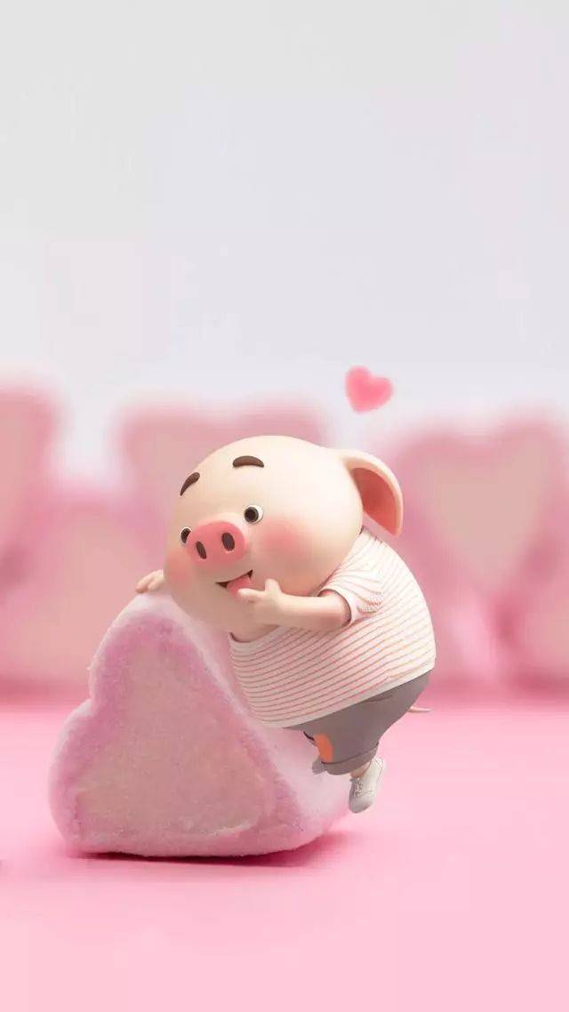 猪猪年手机壁纸第五波,猪猪情话教你表达爱意