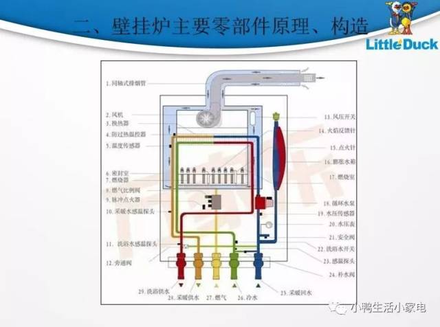 小鸭腾讯课堂套管式壁挂炉——水路运行原理介绍