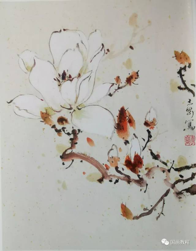 【国画教程】玉兰花画法(附高清素材图)