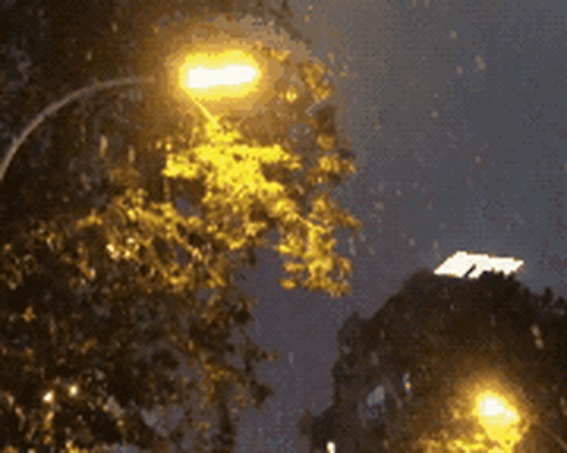 微分享|雨与雪在浙药的相遇,是我最想留住的小幸运