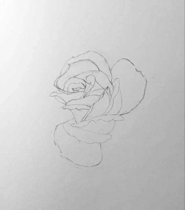 铅笔素描教程,一支笔画一朵花
