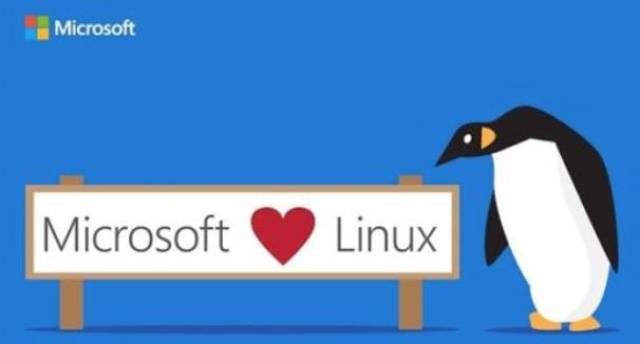 学运维,windos和linux这些区别你要清楚