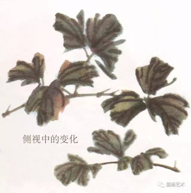写意牡丹叶子的画法图片