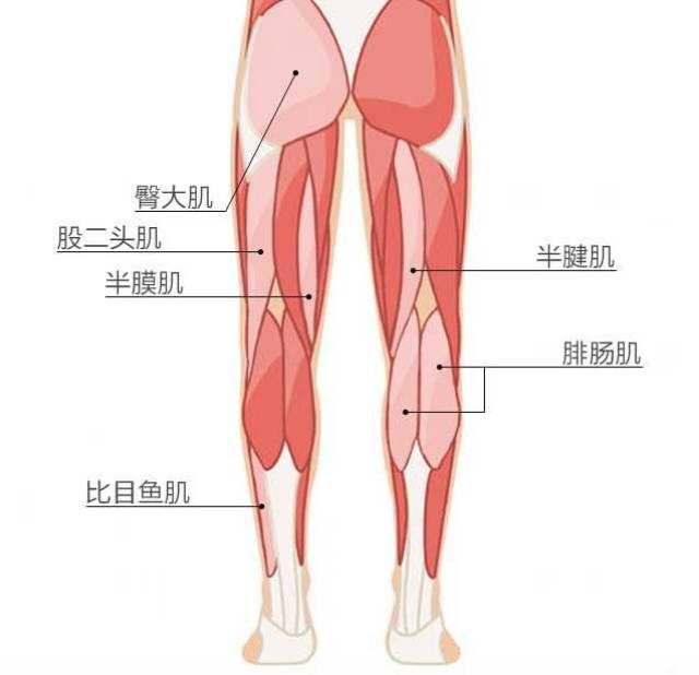 跑步膝关节疼?这里有常见的3个原因及应对方法