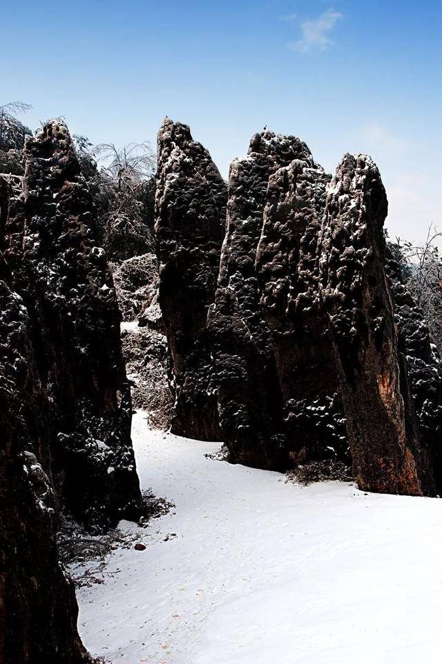 思南石林雪景,与您相约到白头