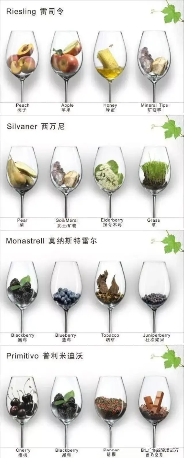 葡萄酒葡萄品种