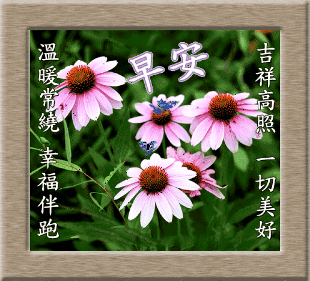 2018最新冬天早晨好动态表情图片 冬天早上好问候动态