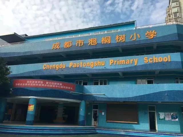 泡桐树小学