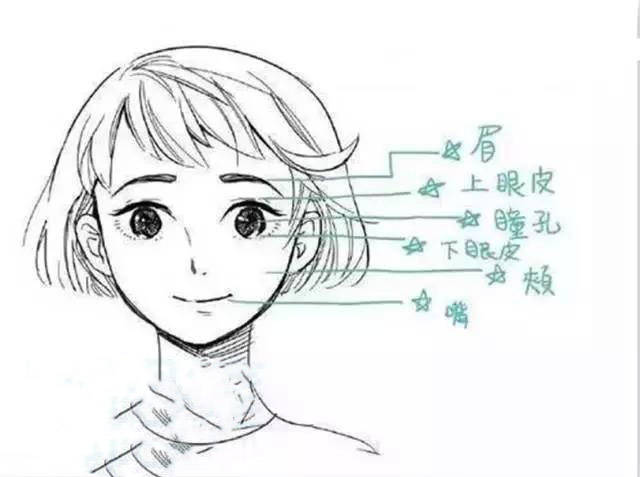 首先大家知道,五官包括眉毛,眼睛,鼻子,耳朵,嘴巴,它们在表情刻画中