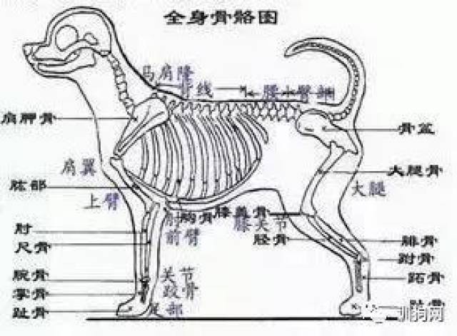 c0847142533c4e278e5c64320fc4b3ed.jpeg