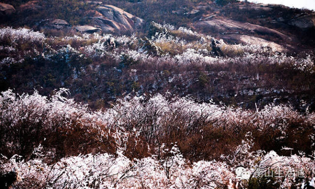 南岳衡山雪景惹人醉,你们那下雪了吗?