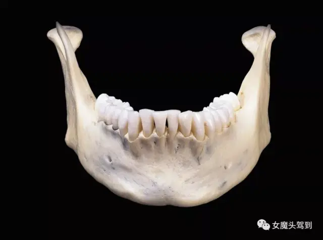 李洁医生做客女魔头驾到:你没了解肉毒素的这