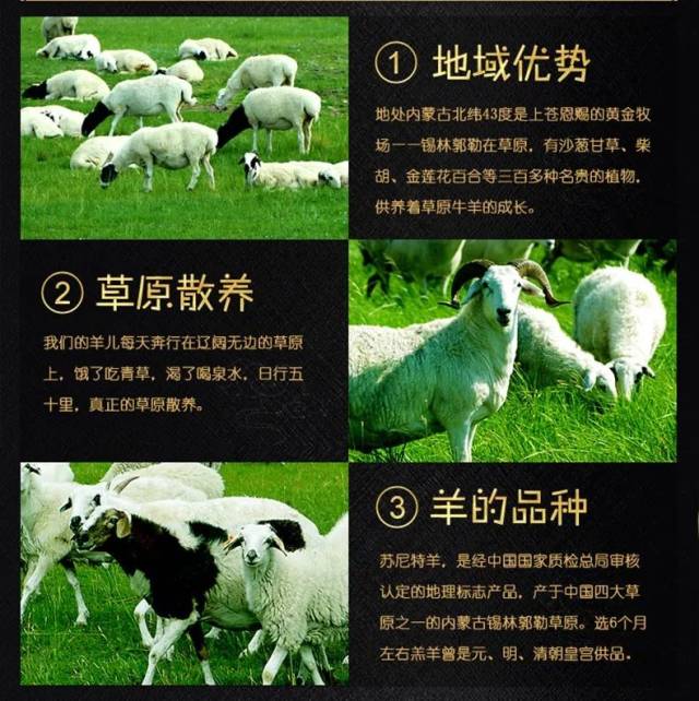 刷爆朋友圈的苏尼特全羊宴,不远千里从内蒙古来到涪陵啦!