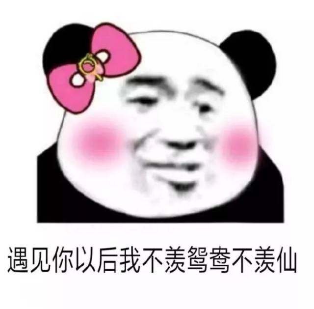 表情| 一组骚气熊猫头表情包