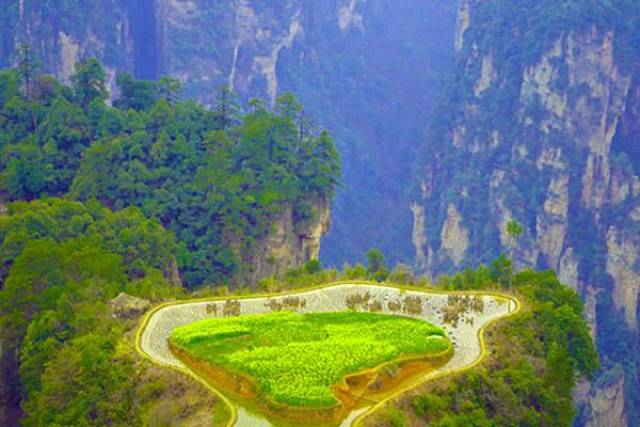 袁家界,是张家界森林公园山顶