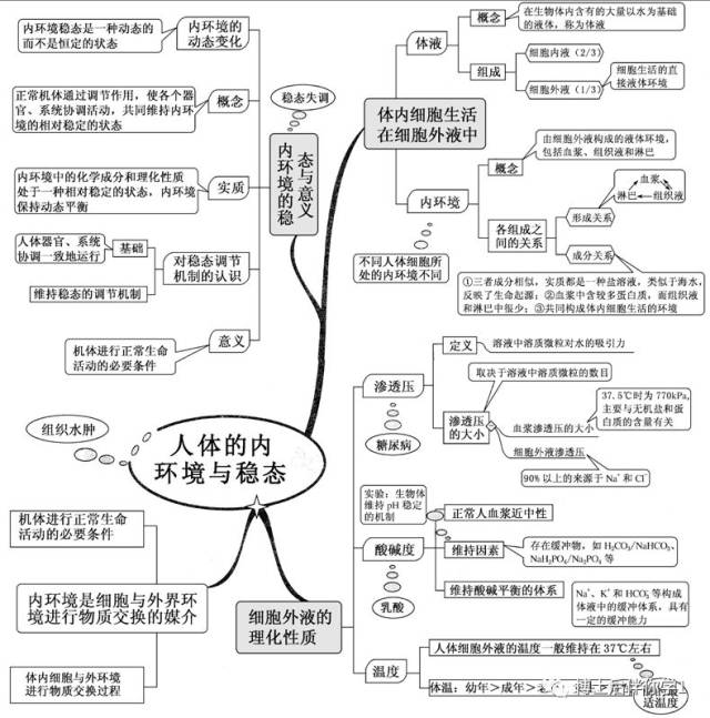 【博士后伴你学】高中生物思维导图汇总