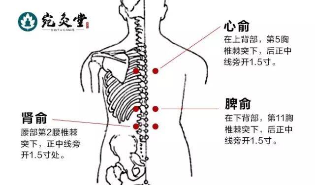 脾俞穴