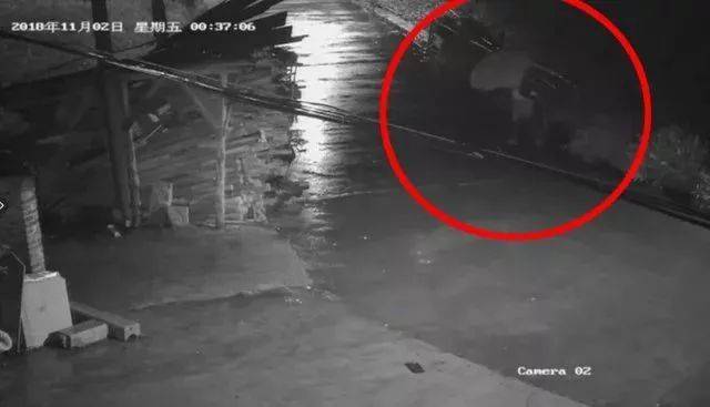 毛骨悚然!福建一对母女家中离奇被害,事发时家里还有其他亲人在