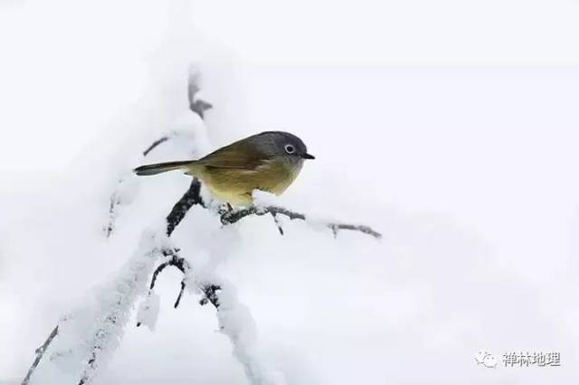 隆谦法师|都是自己绑自己