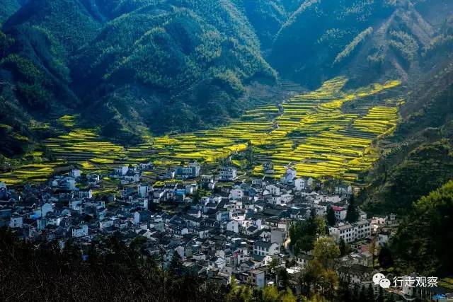 镇洪坑村 ■黄山市黄山区三口镇联中村  ■黄山市黄山区乌石镇长芦村