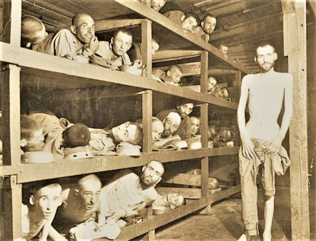 二战时期纳粹集中营老照片 铁栏之内俨然是地狱
