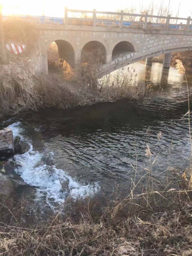 实地核查入河排污口.