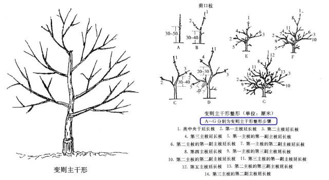 2,自然开心形