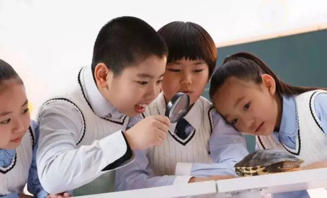 【深圳教育】新“高考改革”知多少?这里“3+1+2”,那里“