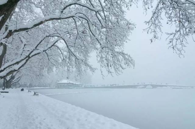 美翻了!杭州西湖雪景醉人 宛如白色画卷