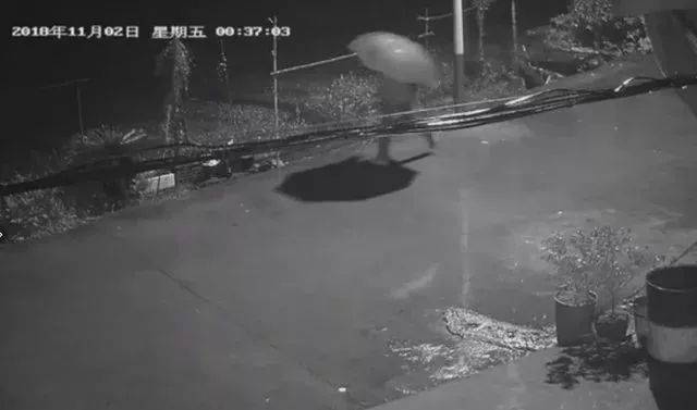 毛骨悚然!福建一对母女家中离奇被害,事发时家里还有其他亲人在