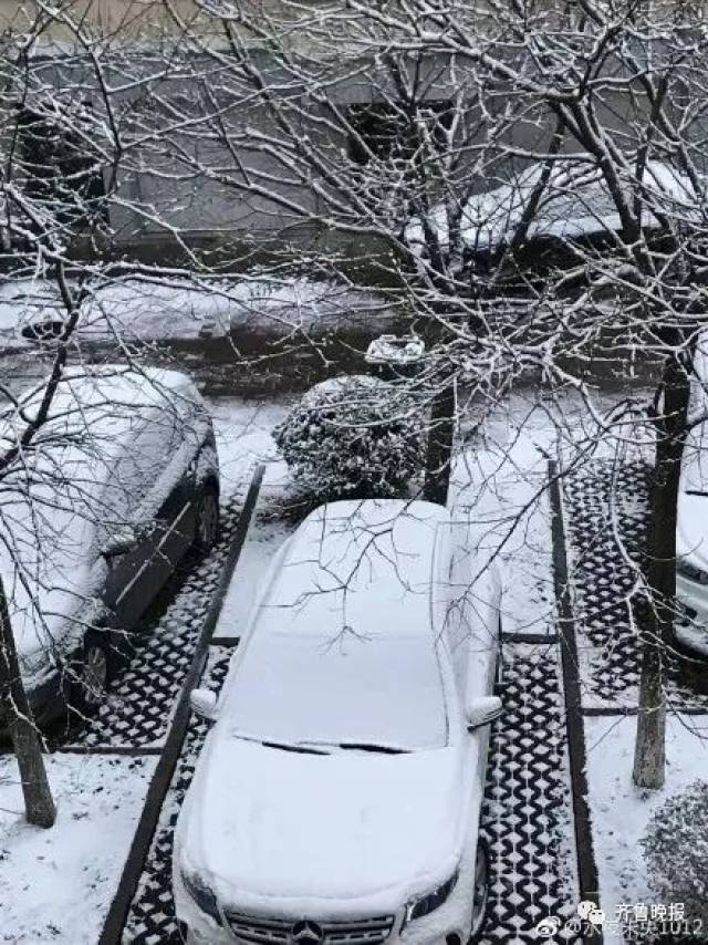 大半个山东都在下雪 德州
