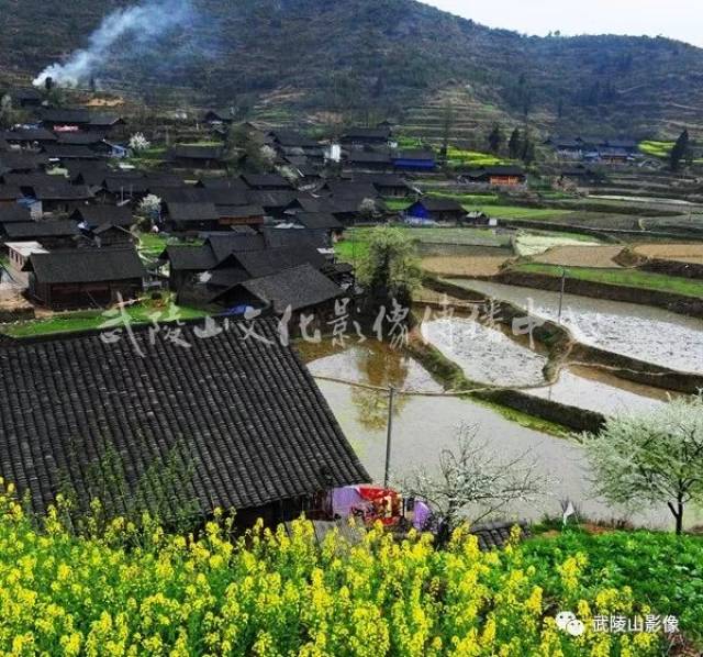 吉首5个村入选第五批拟列入中国传统村落名录!有你们村吗?