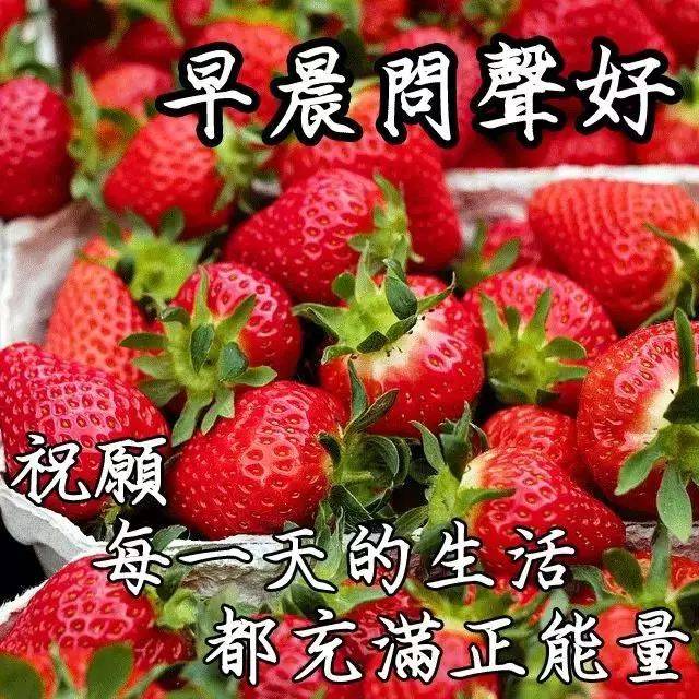 12Ϻʺ̬ͼƬ 糿ʺ̬ͼƬ