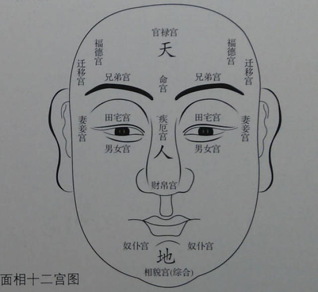 面相:这种面相的人最有福!