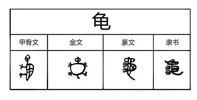 中国的汉字演变过程 汉字演变社会学