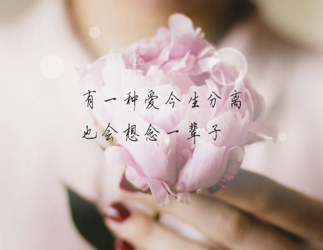 有一种爱今生分离,也会想念一辈子