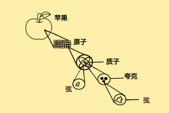 质子中子由夸克组成,那么夸克由什么组成?最基本的粒子是什么?