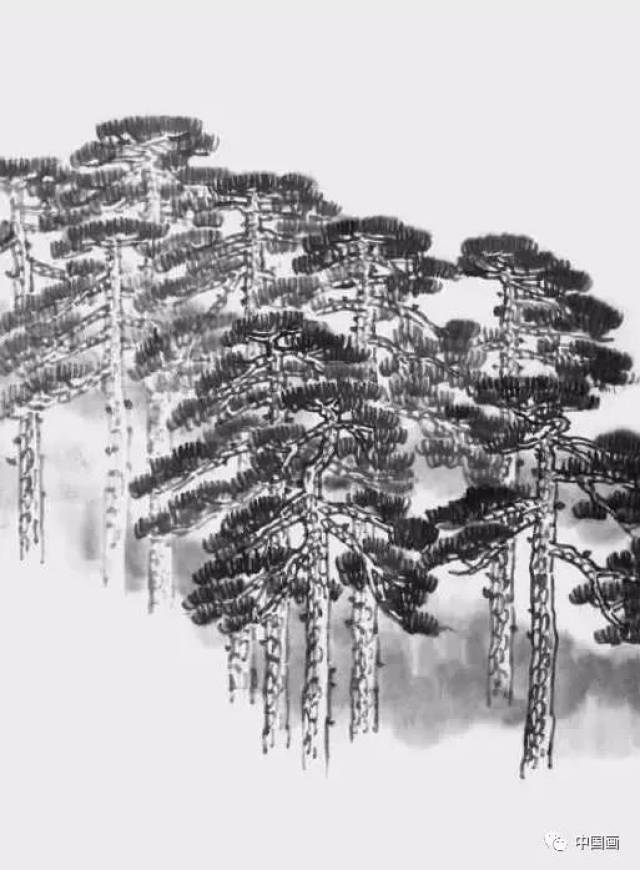 中国画技法:一学就会的松树画法
