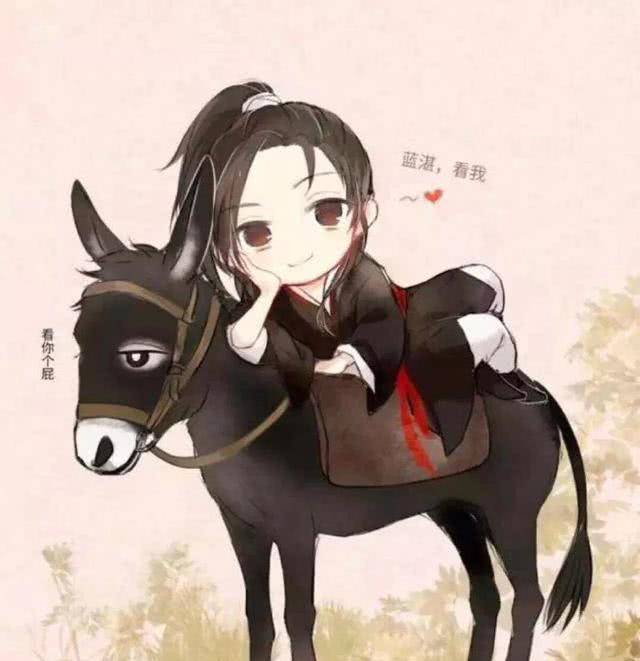 魔道百科:主角取名"魏无羡"用意不一般,从此只羡忘羡不羡仙