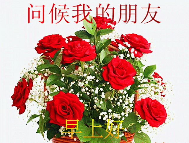 12月最新早上好表情动态图片大全 早上好带字动态图