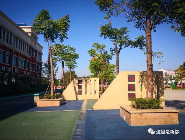 龙桥小学